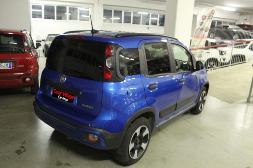 Fiat Panda Cross usata a Terni (4)