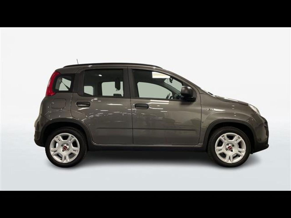 Fiat Panda usata a Parma (3)