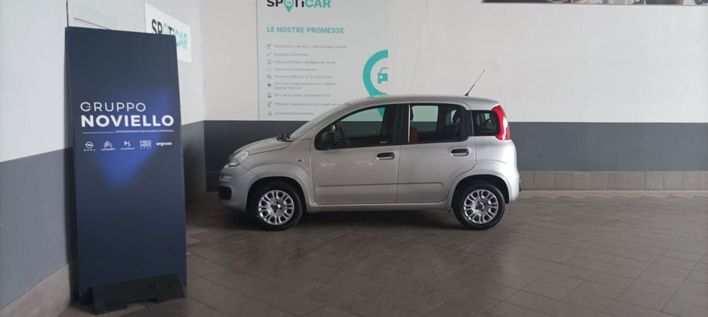 Fiat Panda usata a Salerno (8)