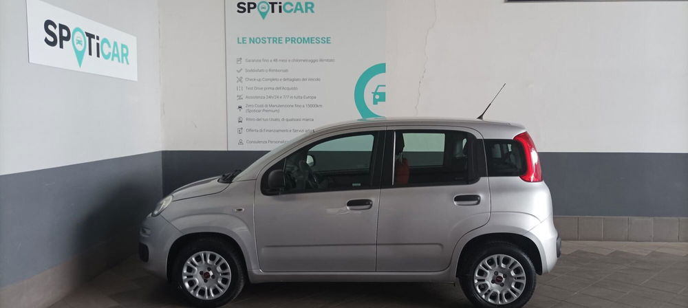 Fiat Panda usata a Salerno (9)