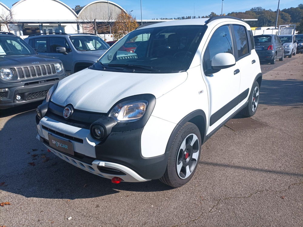 Fiat Panda Cross usata a Frosinone