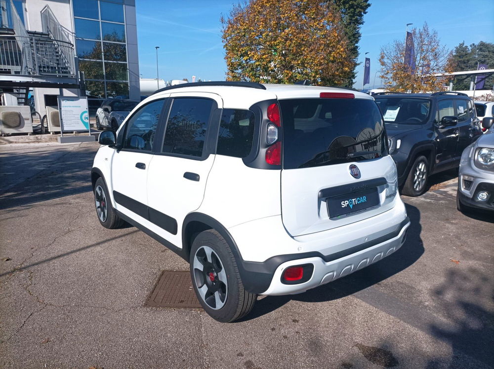 Fiat Panda Cross usata a Frosinone (12)