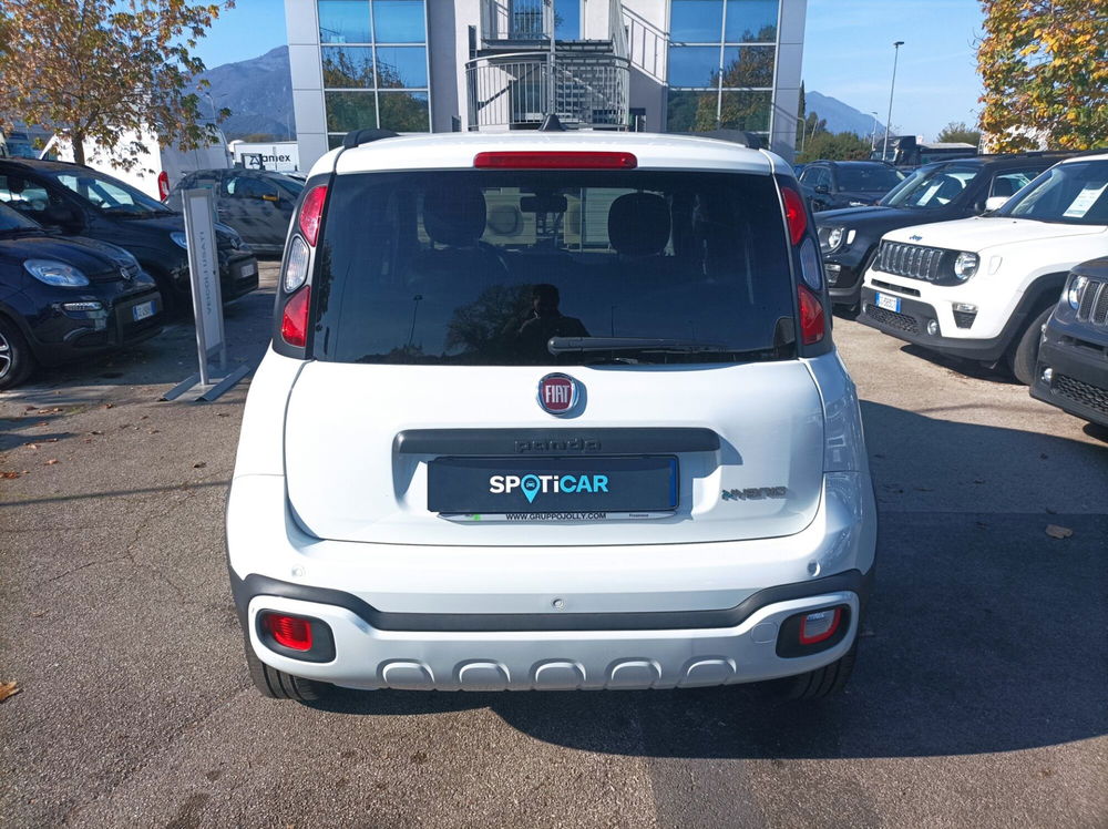 Fiat Panda Cross usata a Frosinone (14)