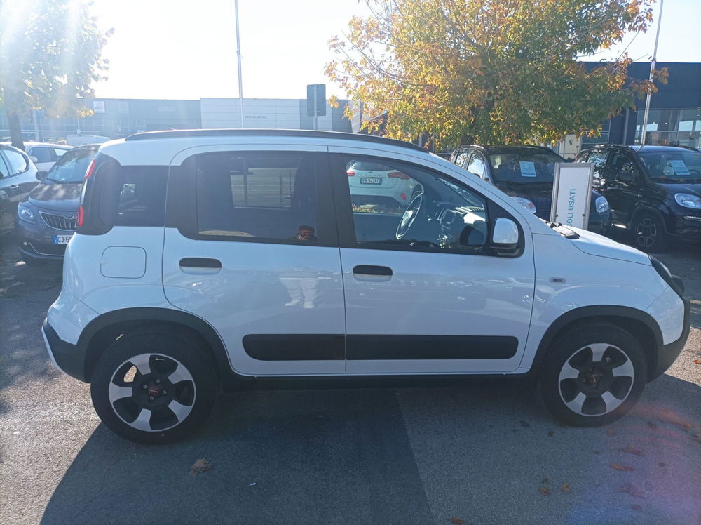 Fiat Panda Cross usata a Frosinone (16)