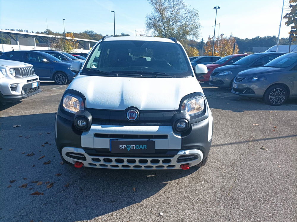 Fiat Panda Cross usata a Frosinone (17)