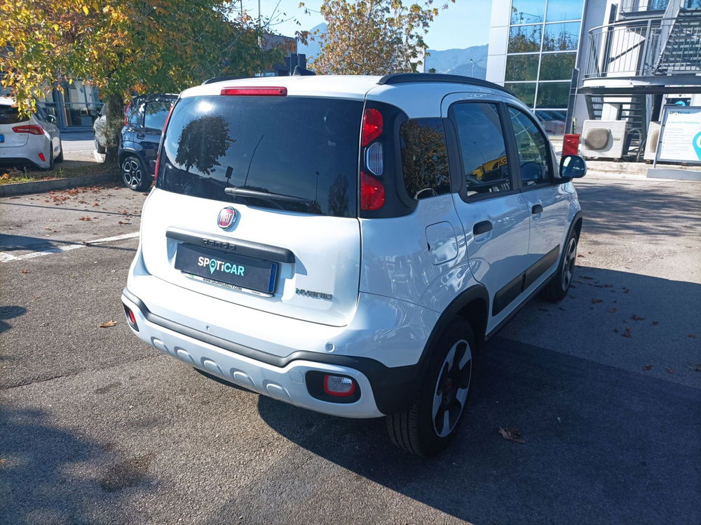 Fiat Panda Cross usata a Frosinone (18)