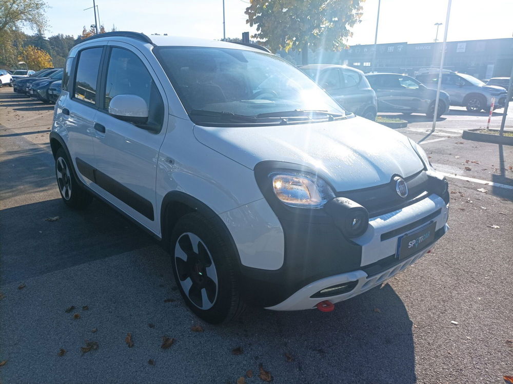 Fiat Panda Cross usata a Frosinone (19)