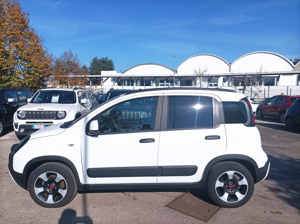 Fiat Panda Cross usata a Frosinone (7)