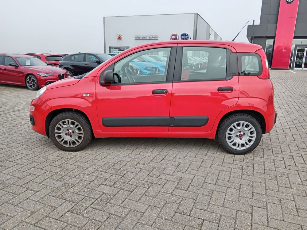 Fiat Panda usata a Alessandria (8)