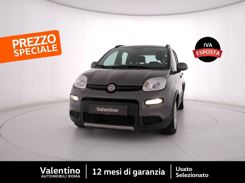 Fiat Panda usata a Roma