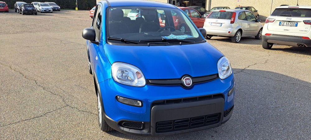 Fiat Panda nuova a Varese (11)