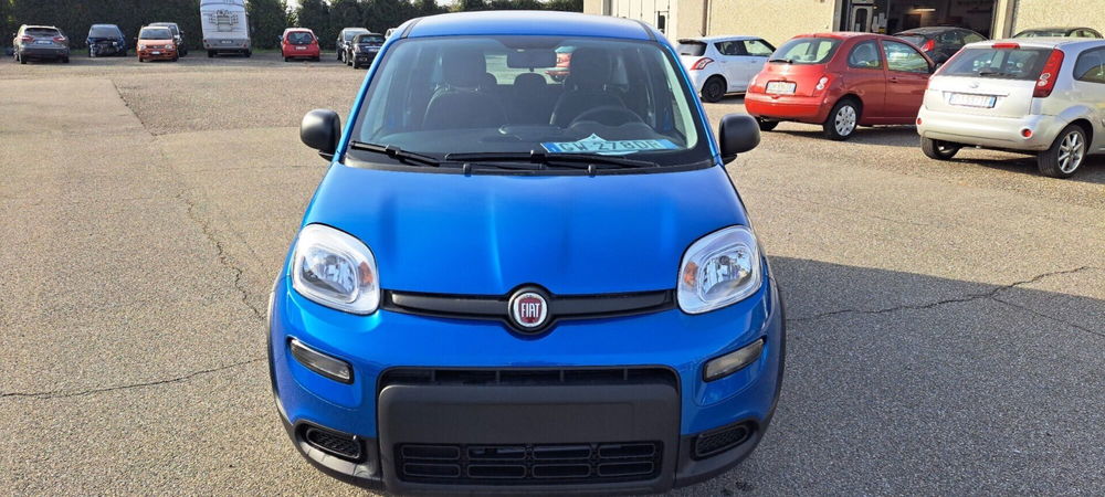 Fiat Panda nuova a Varese (12)