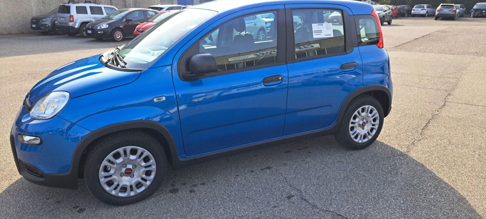 Fiat Panda nuova a Varese (14)