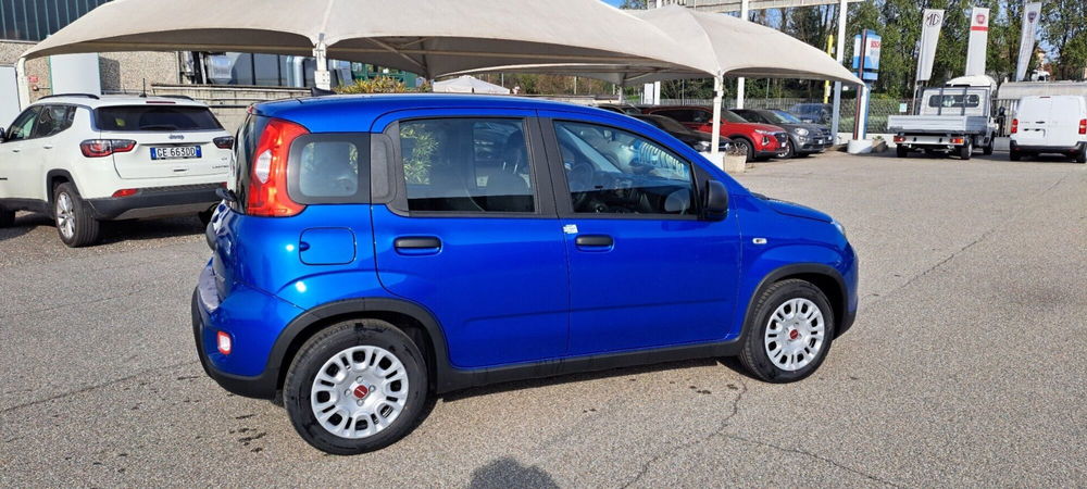 Fiat Panda nuova a Varese (9)