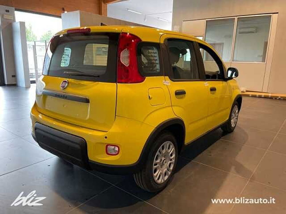 Fiat Panda nuova a Udine (5)