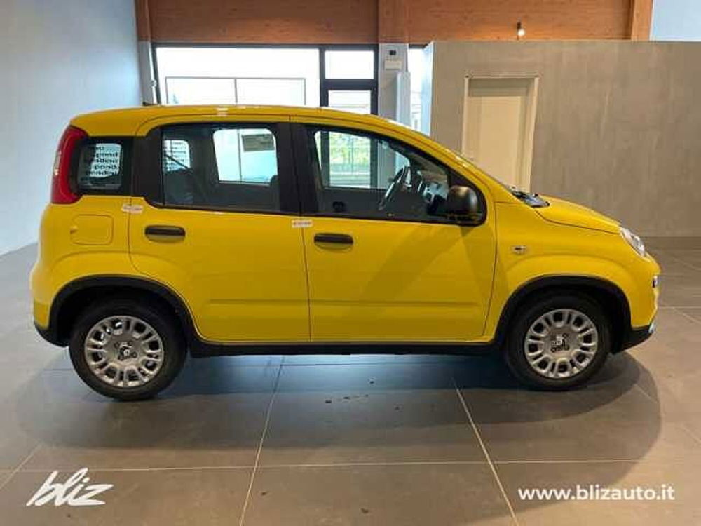 Fiat Panda nuova a Udine (6)