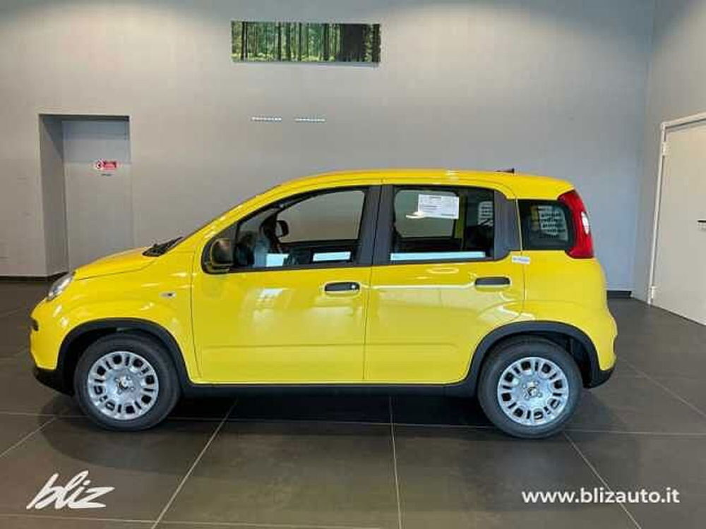 Fiat Panda nuova a Udine (3)