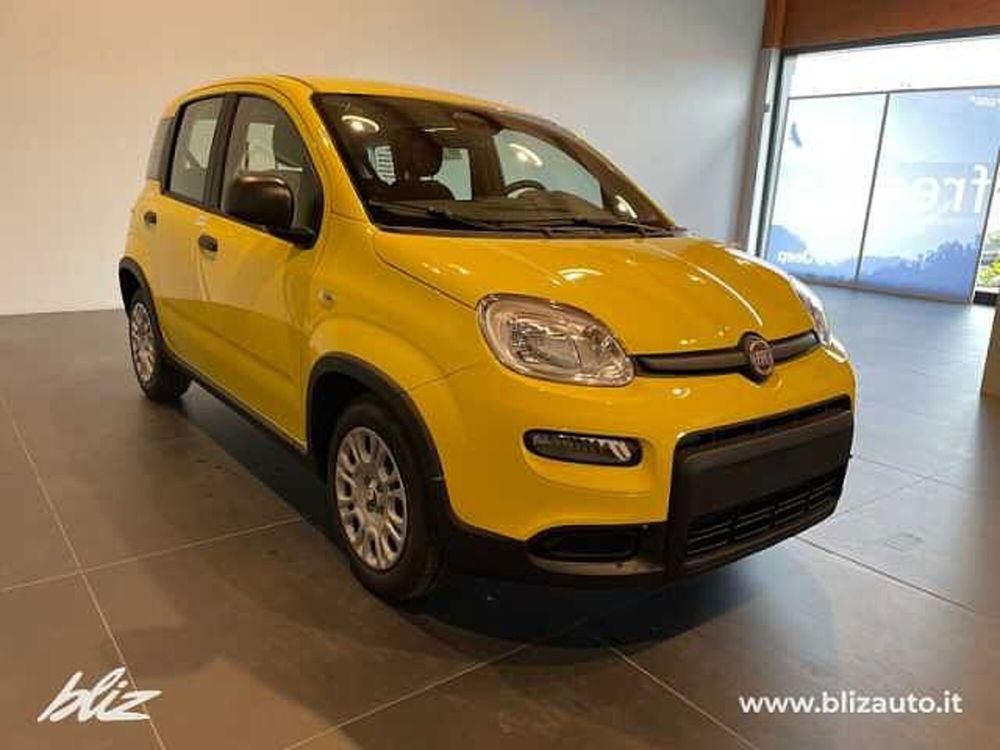 Fiat Panda nuova a Udine (7)