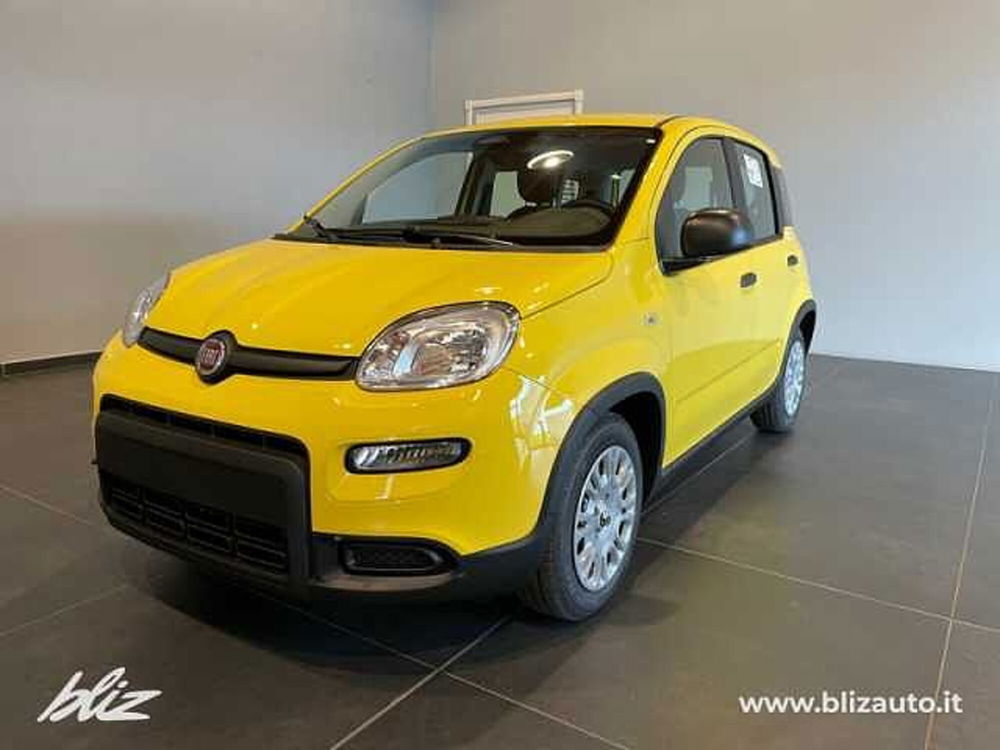 Fiat Panda nuova a Udine