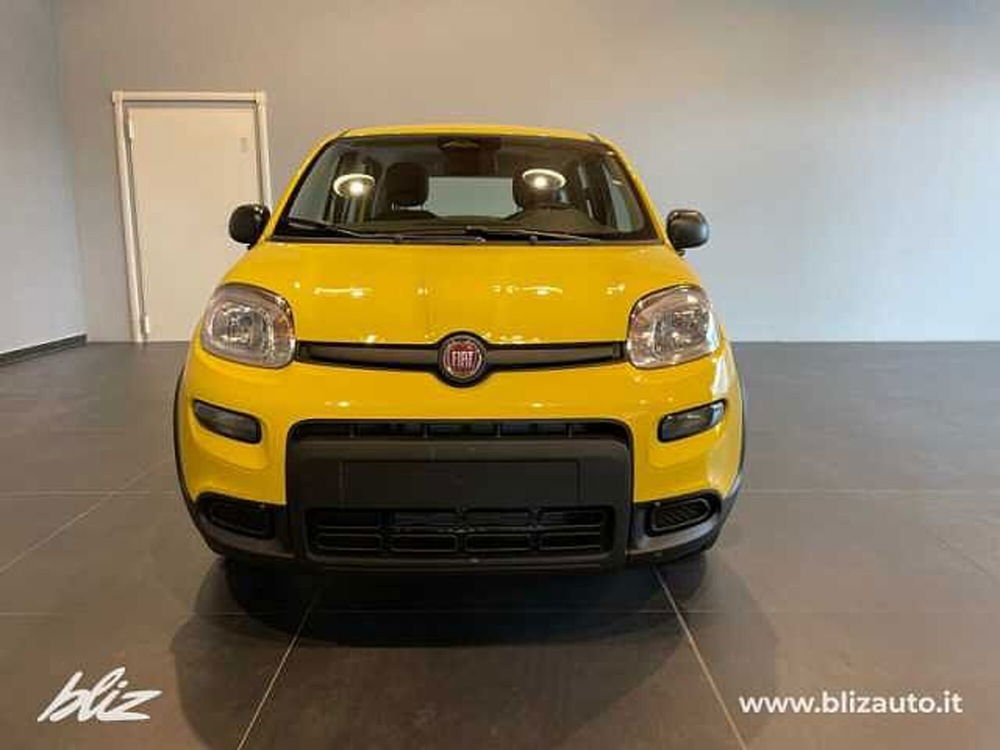 Fiat Panda nuova a Udine (2)