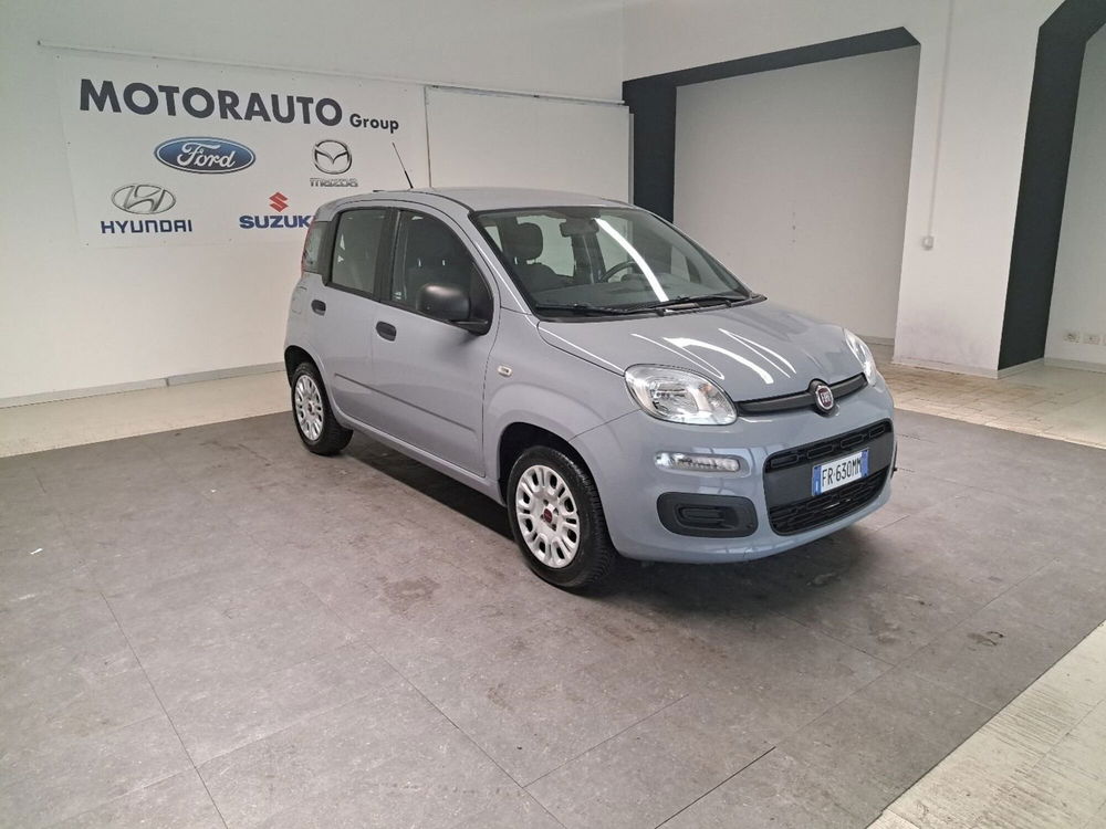 Fiat Panda usata a Arezzo