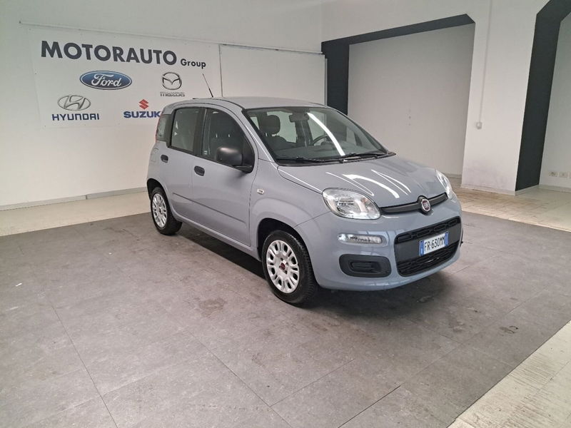 Fiat Panda 1.2 Pop  del 2018 usata a Arezzo