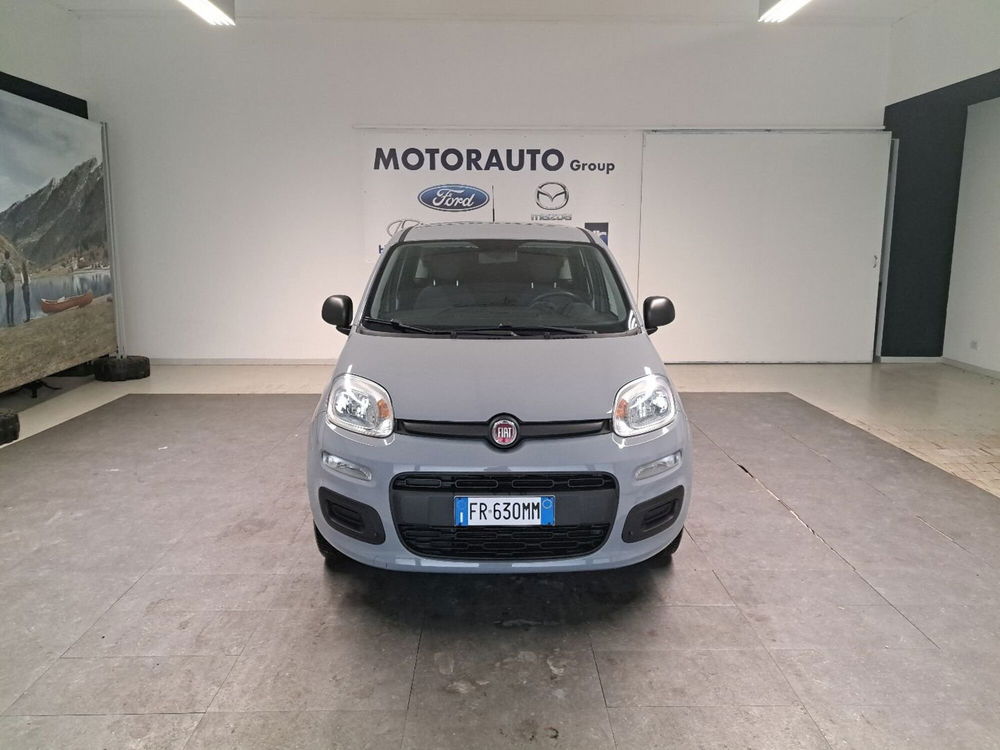 Fiat Panda usata a Arezzo (2)