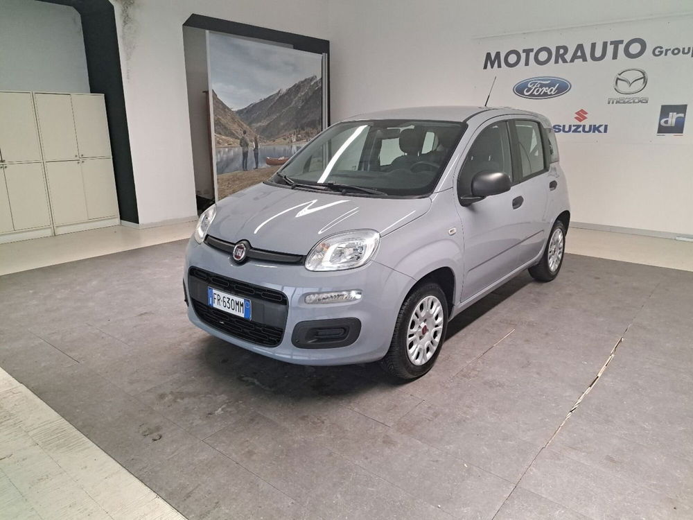 Fiat Panda usata a Arezzo (3)