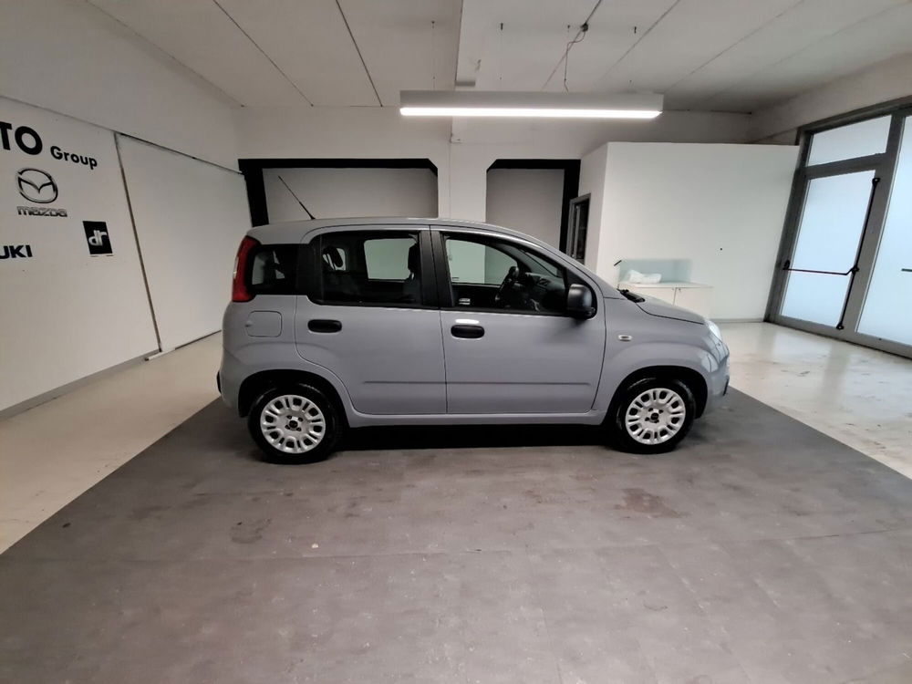 Fiat Panda usata a Arezzo (7)