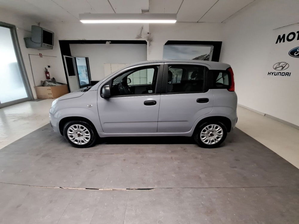 Fiat Panda usata a Arezzo (8)