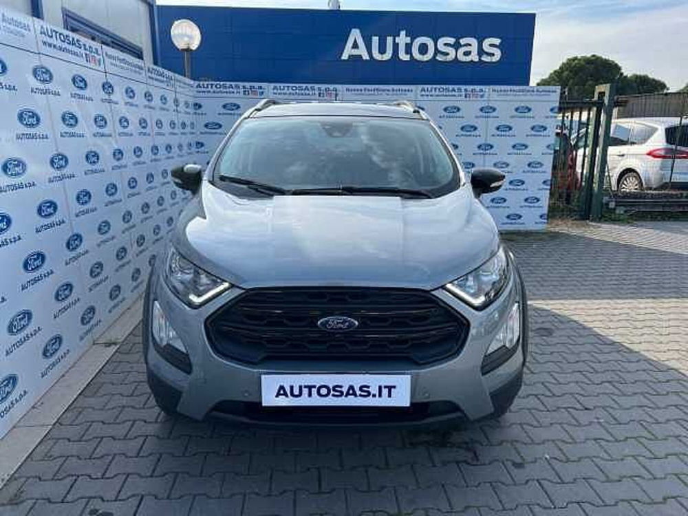 Ford EcoSport usata a Firenze (4)