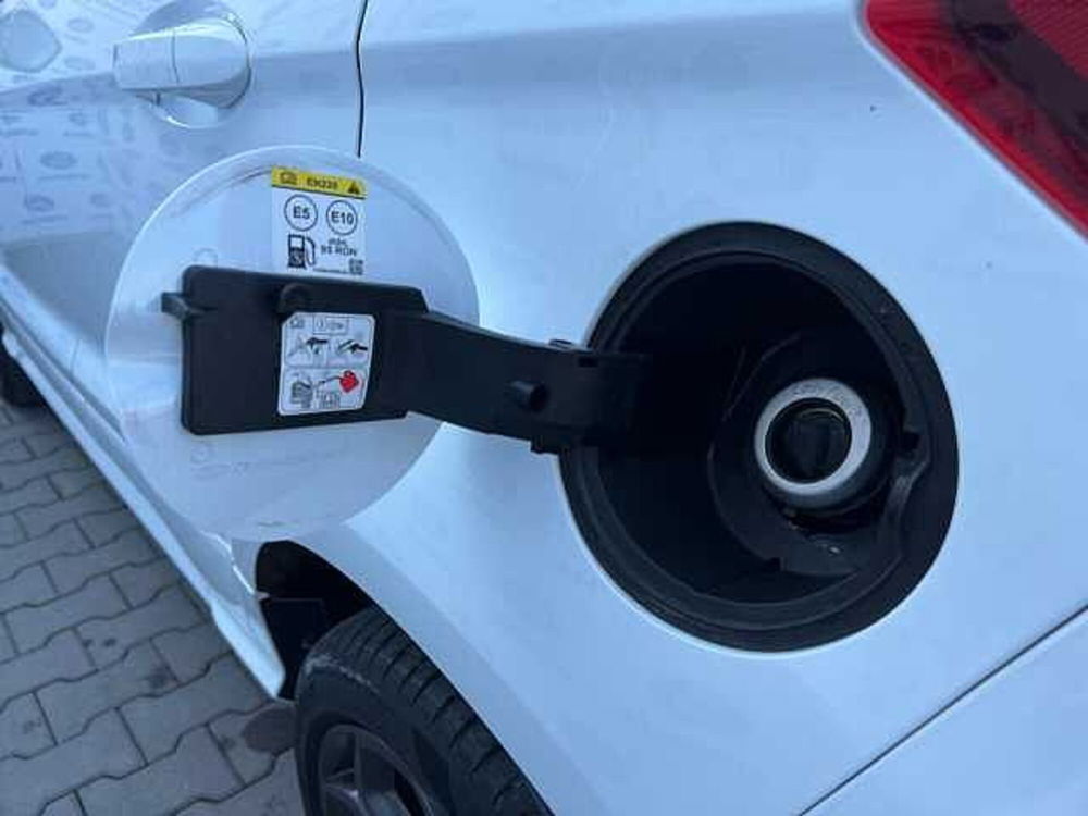 Ford EcoSport usata a Firenze (20)