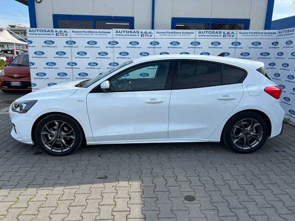 Ford Focus usata a Firenze (3)