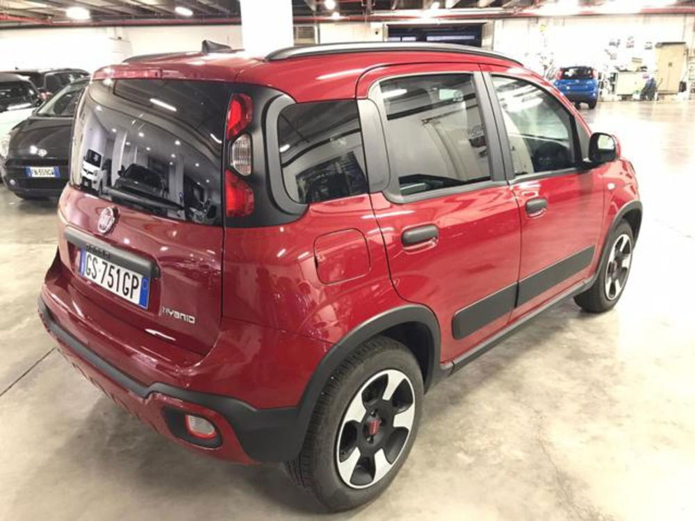 Fiat Panda Cross usata a Cuneo (6)