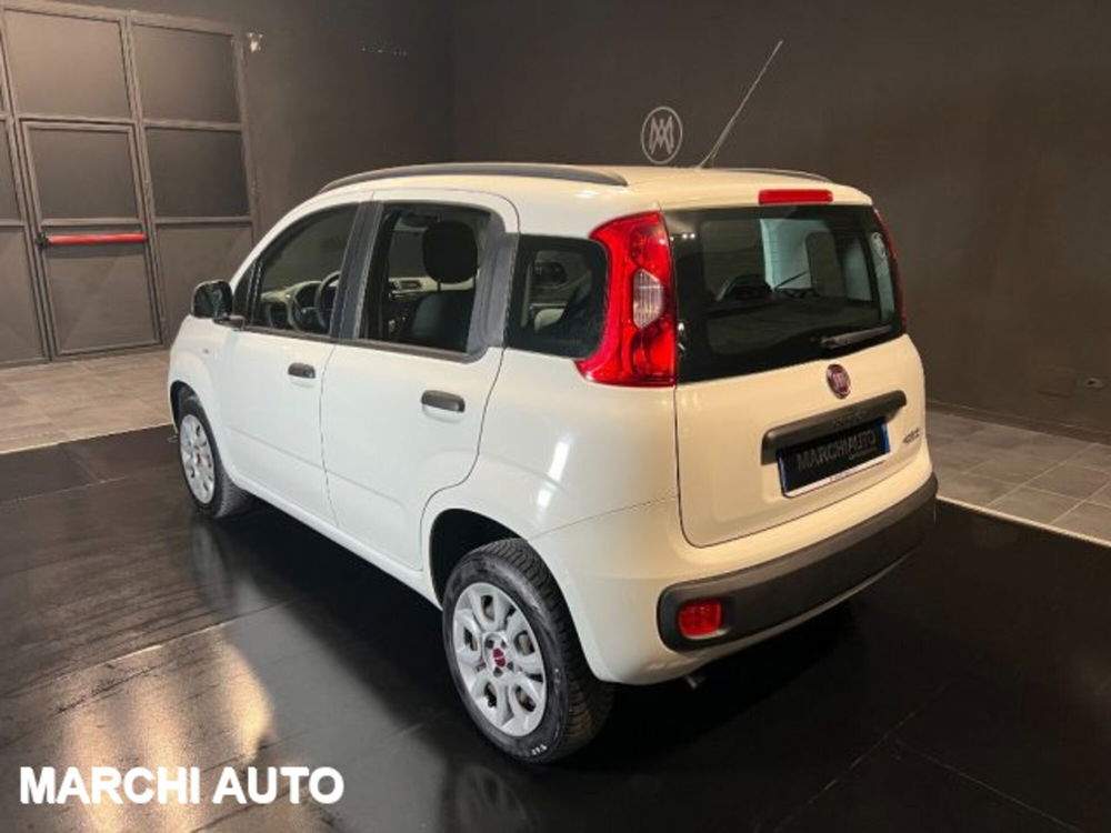 Fiat Panda usata a Perugia (7)