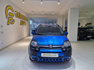 Fiat Panda Cross 1.0 firefly hybrid Cross s&amp;s 70cv 5p.ti del 2024 usata a Somma Vesuviana