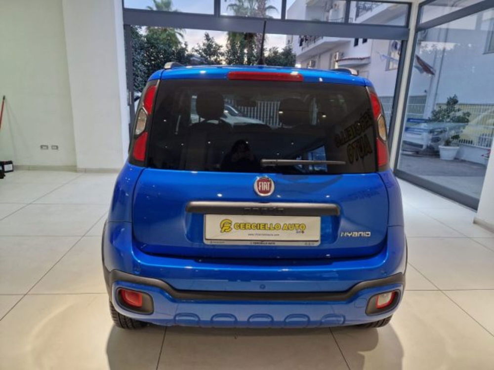 Fiat Panda Cross usata a Napoli (4)