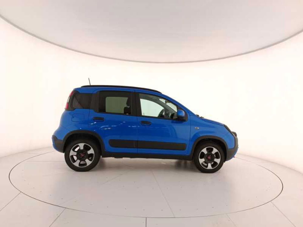 Fiat Panda Cross usata a Treviso (7)