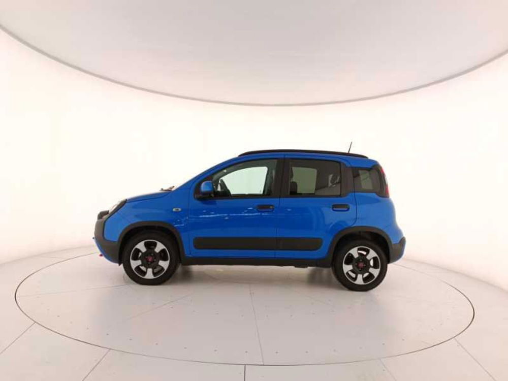 Fiat Panda Cross usata a Treviso (8)