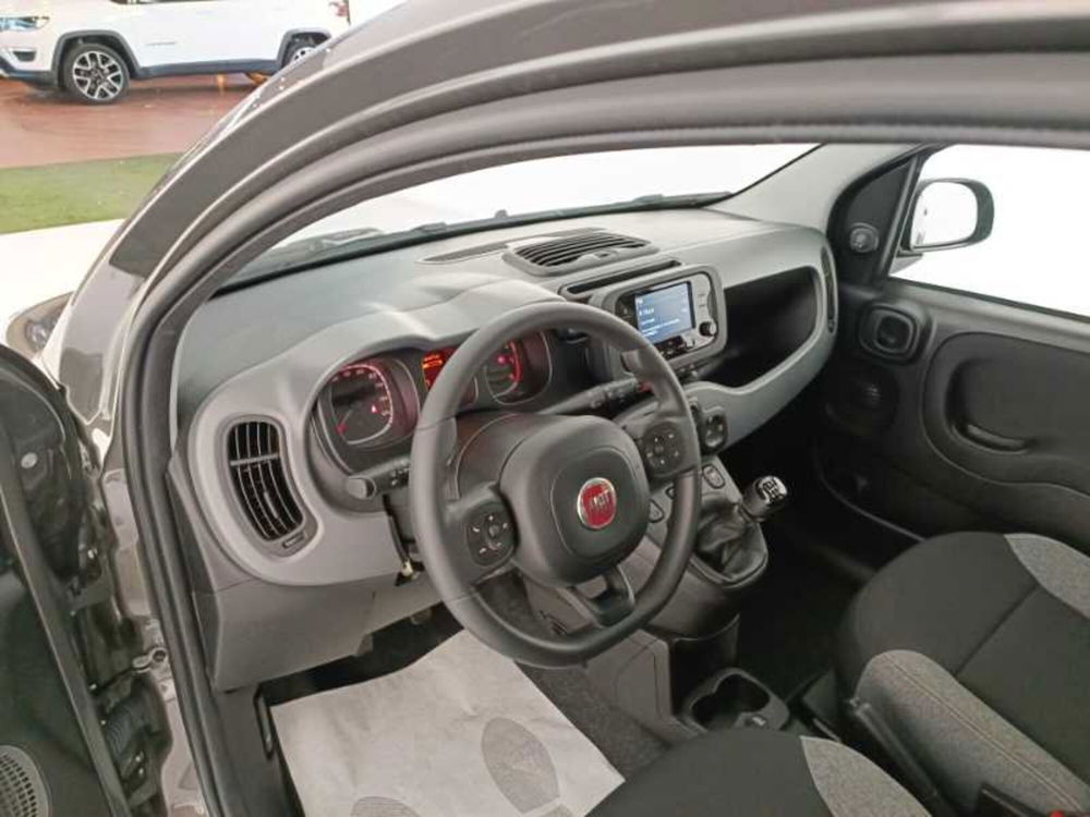 Fiat Panda usata a Treviso (10)