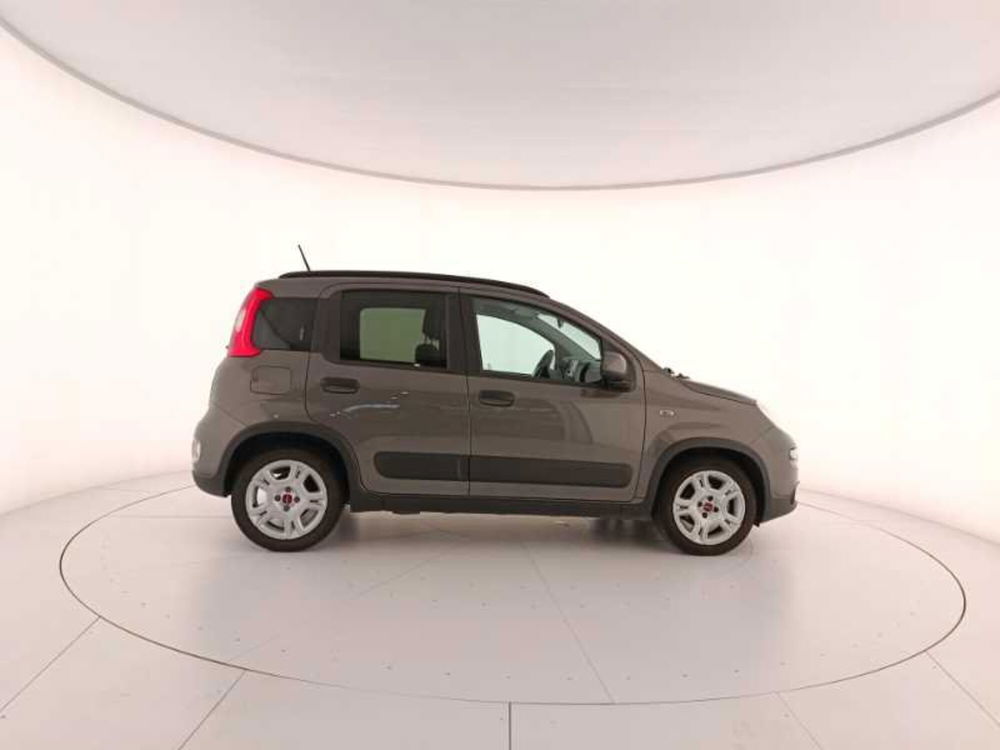 Fiat Panda usata a Treviso (7)