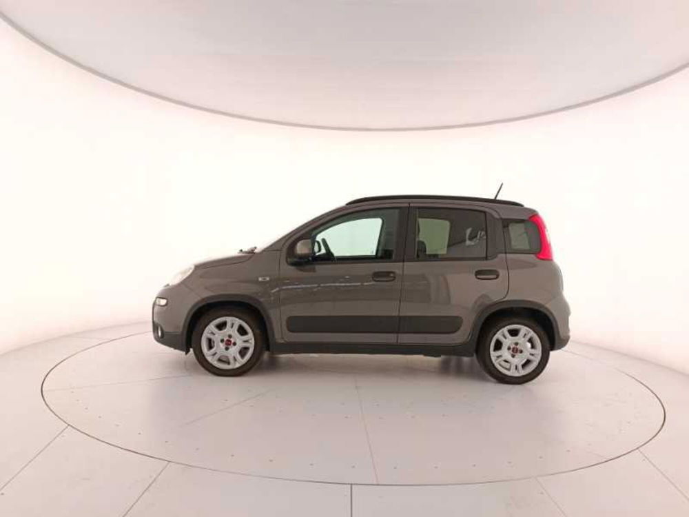 Fiat Panda usata a Treviso (8)