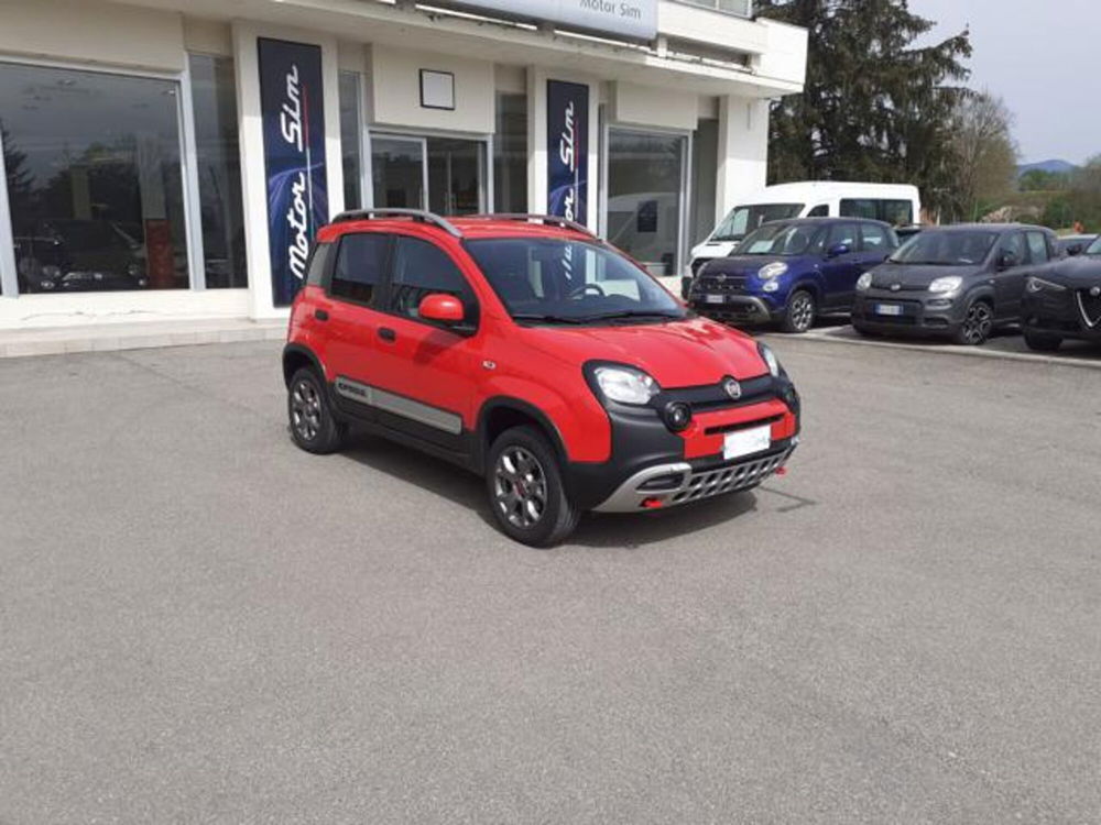 Fiat Panda Cross usata a Firenze (2)