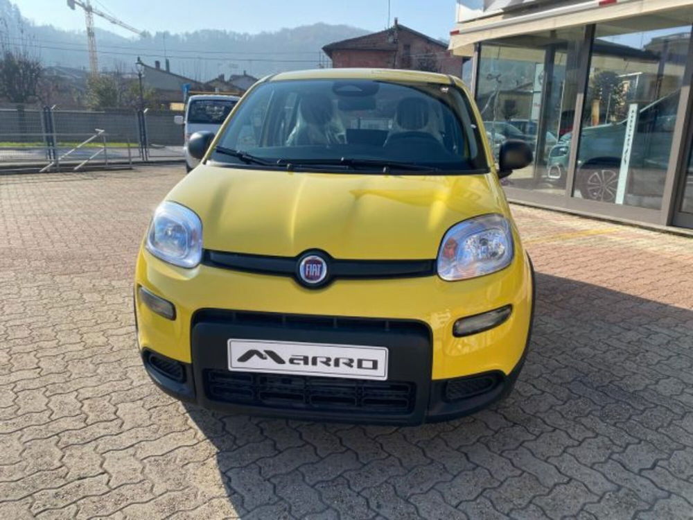 Fiat Panda nuova a Cuneo (2)