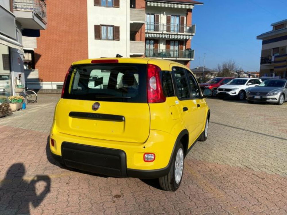 Fiat Panda nuova a Cuneo (5)