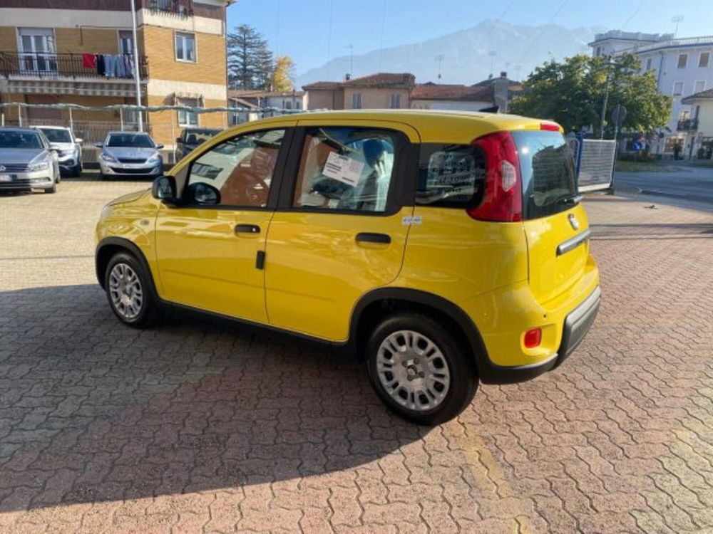 Fiat Panda nuova a Cuneo (6)