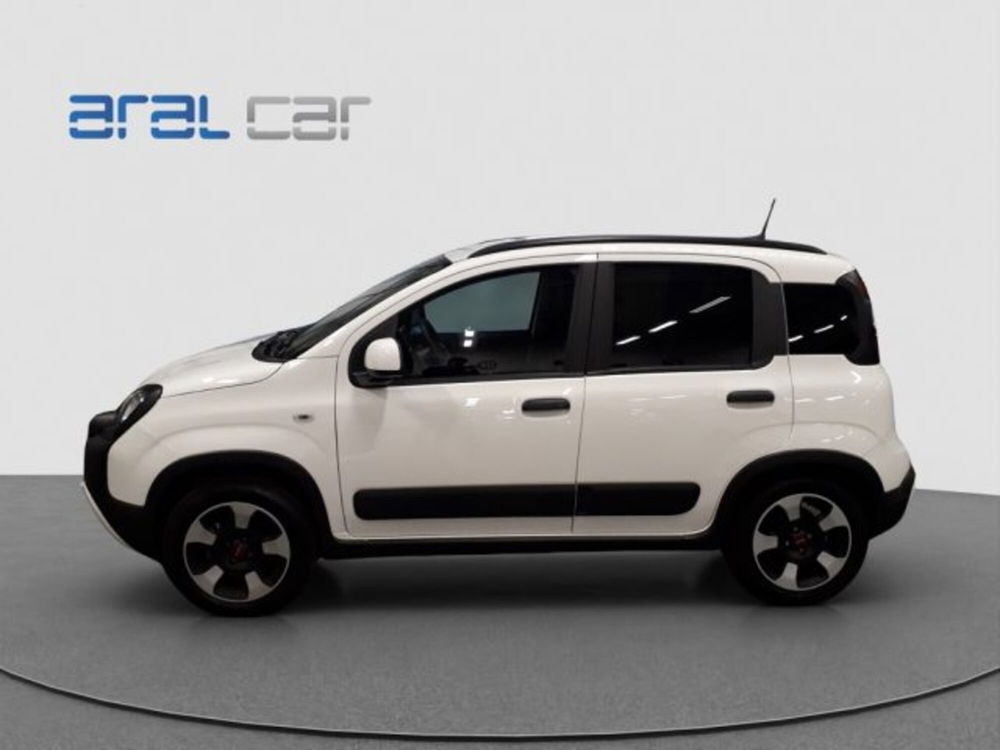 Fiat Panda Cross usata a Torino (3)