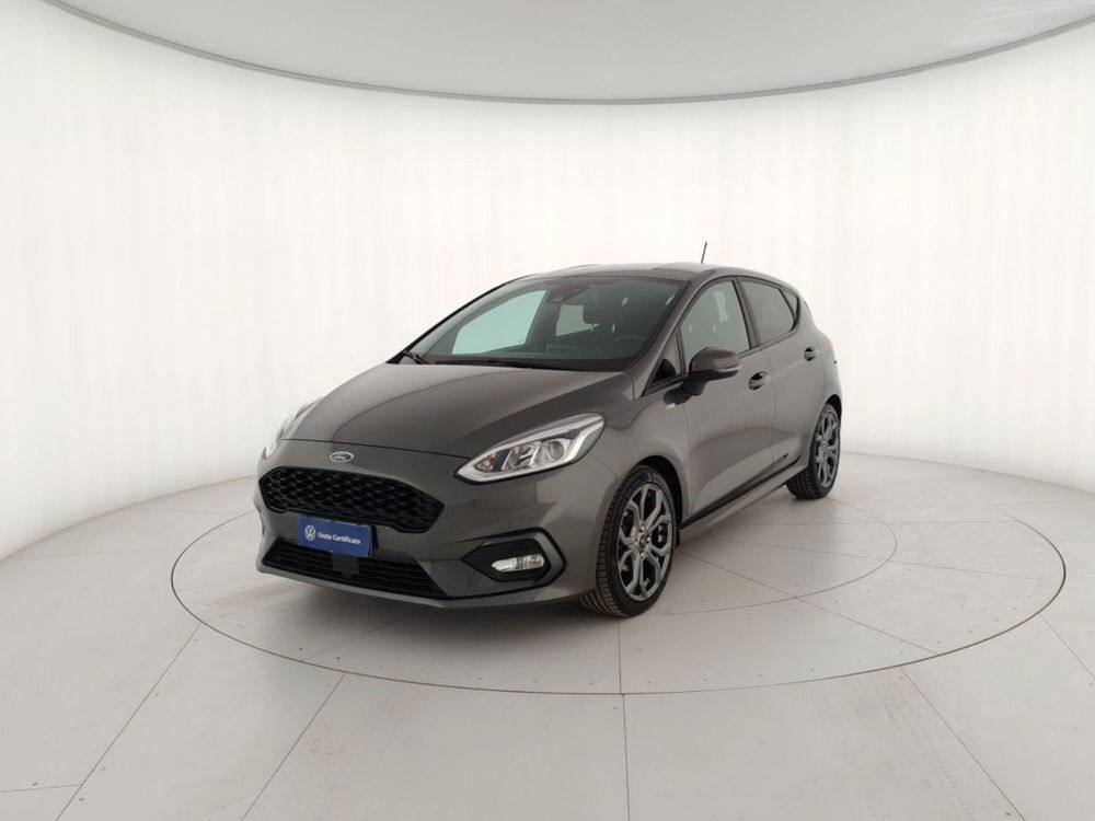 Ford Fiesta usata a Massa-Carrara