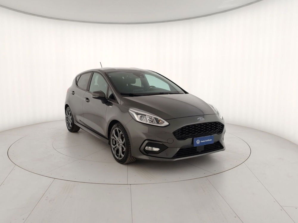 Ford Fiesta usata a Massa-Carrara (4)