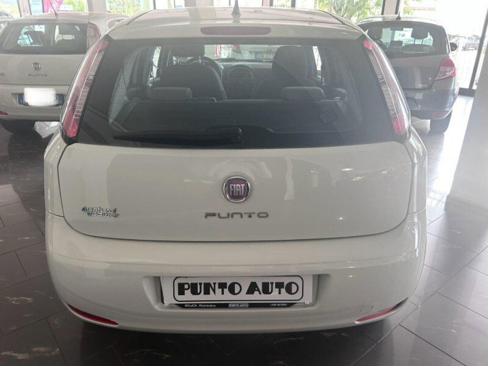 Fiat Punto Evo usata a Firenze (7)